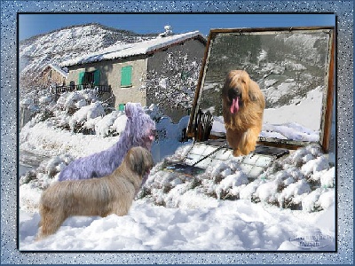 du Val de Méouge - Joyeuses fêtes de Noël et de fin d'année à vous tous!