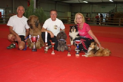 du Val de Méouge - Esméralda dite Bambou du VDM concours agility Avignon