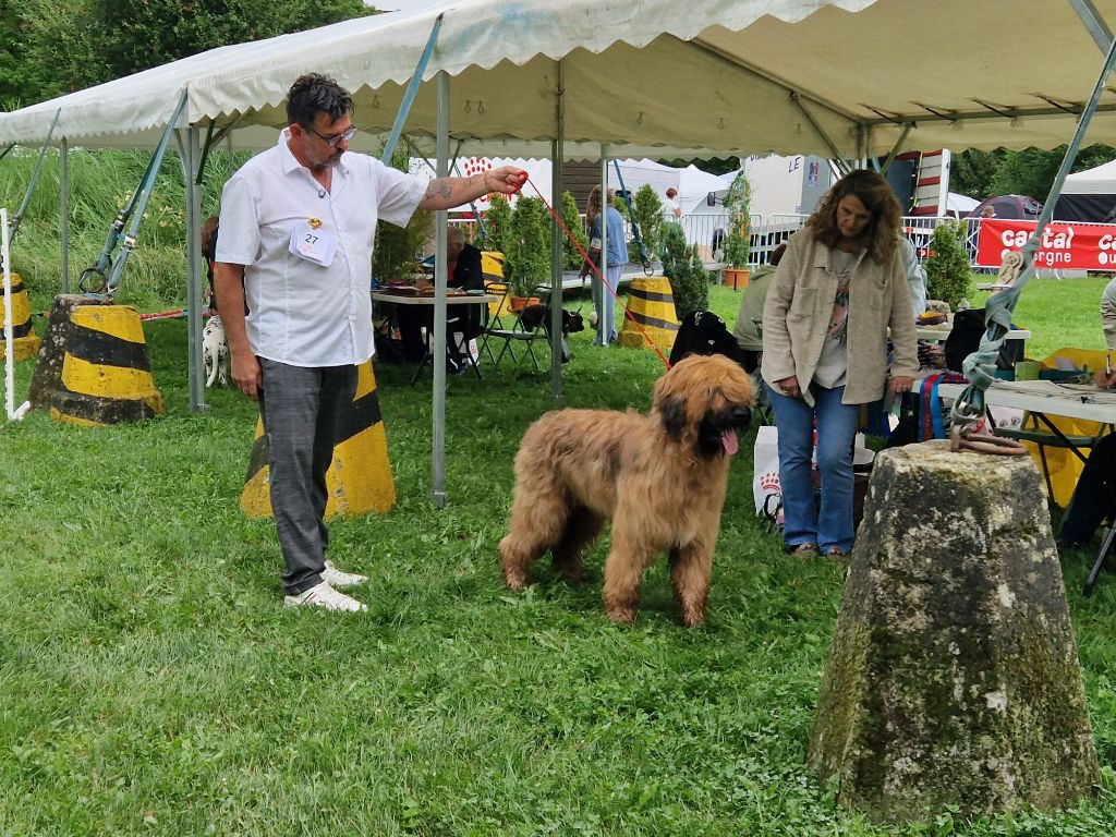 du Val de Méouge - U'Up du Val de Méouge cacs jeune spéciale d' Aurillac