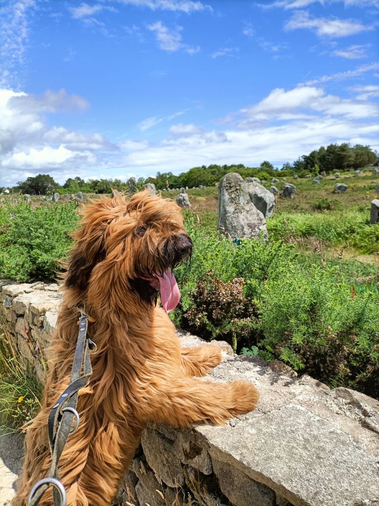 du Val de Méouge - Utch du Val de Méouge 8 mois en vacances en Bretagne