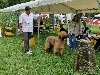  - U'Up du Val de Méouge cacs jeune spéciale d' Aurillac