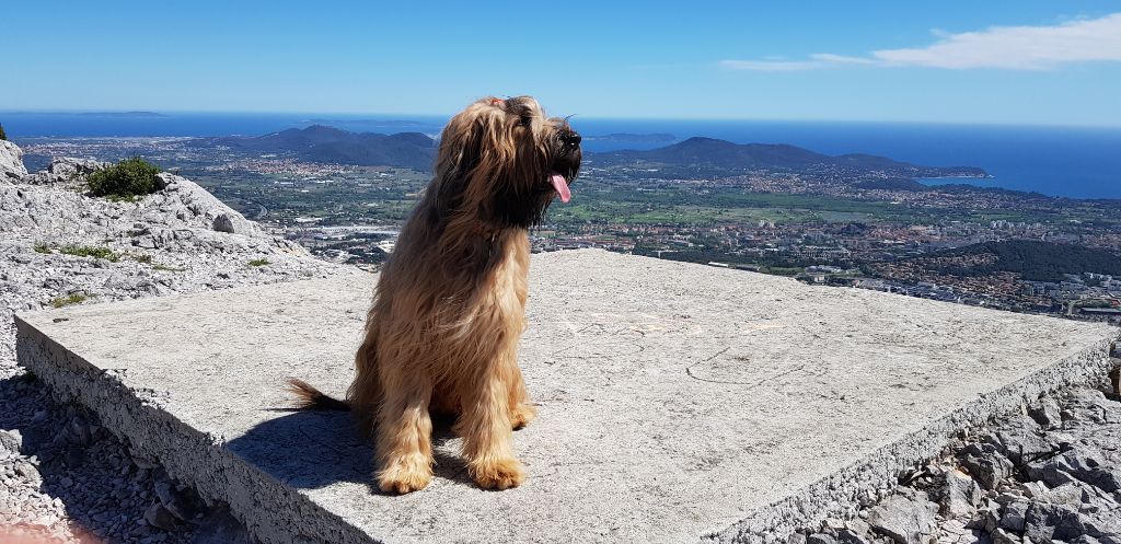 du Val de Méouge - Ounénet dans les hauts du Mont Coudon. 26 avril 2019