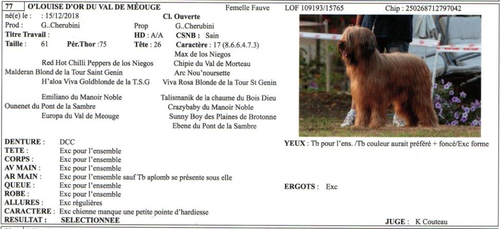 du Val de Méouge - O'Louise d'or du Val de Méouge, sélectionnée, côtée 4 à la NE 2022