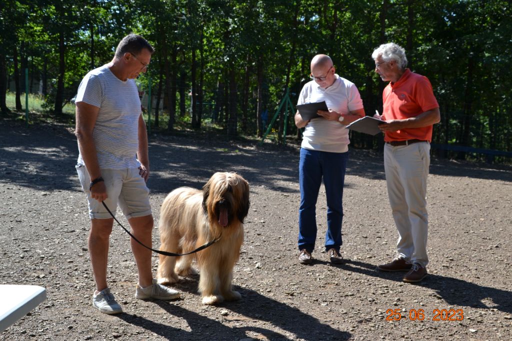 du Val de Méouge - Sully Excellent et 19,5 /20 à la Régionale d'Auvergne 25 juin 2023