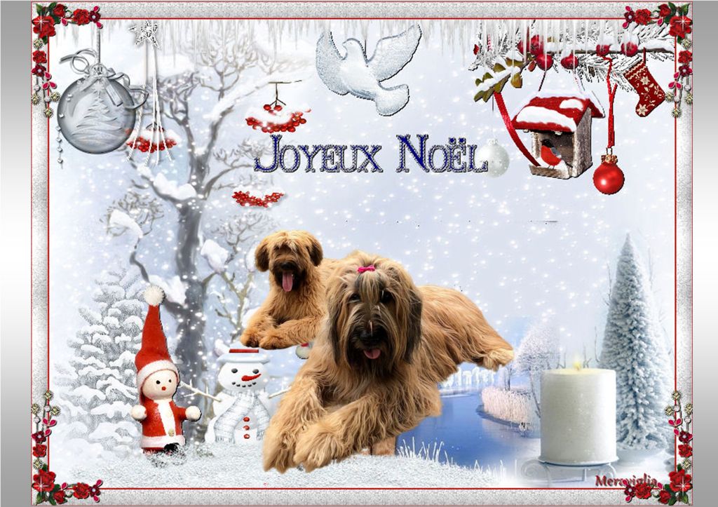 du Val de Méouge - Joyeux Noël 2021 à tous nos amis avec ou sans poils