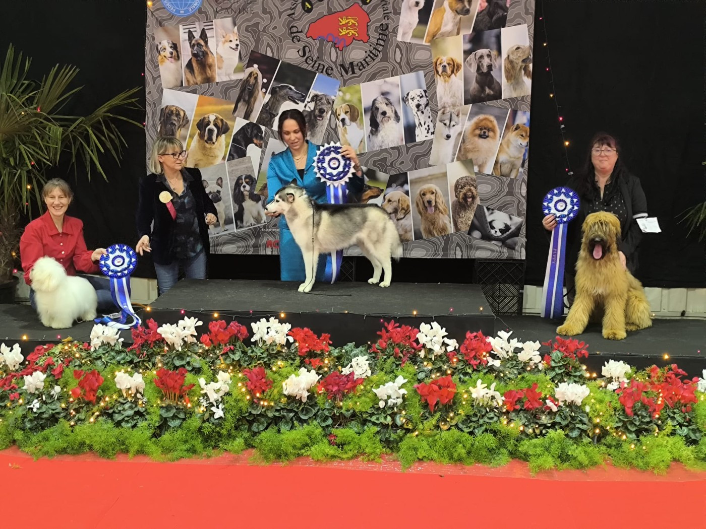 du Val de Méouge - Arrane du Val de Méouge Meilleur puppy et 3ème sur 14 puppy's sur le ring d'honneur Rouen 06/12/2025