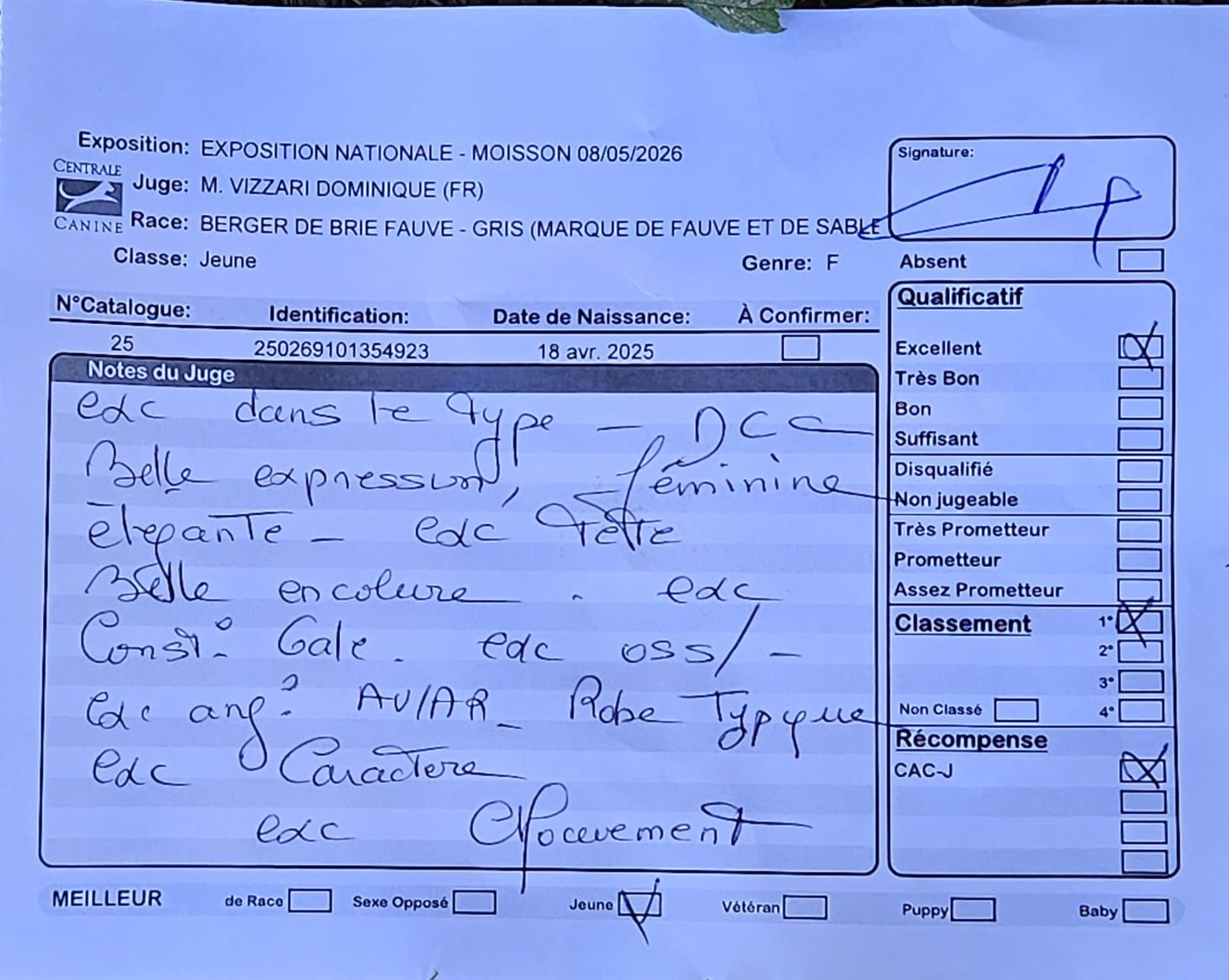 Arrane du Val de Méouge 1er Exc, CACS.Jeune à la spéciale de race de Moisson ce 8 mai 2026. Juge Mr Vizzari Dominique