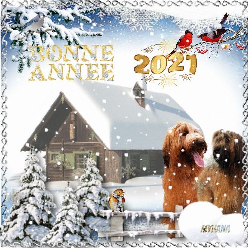 du Val de Méouge - Meilleurs voeux pour 2021 aux VDM et à tous les amis!