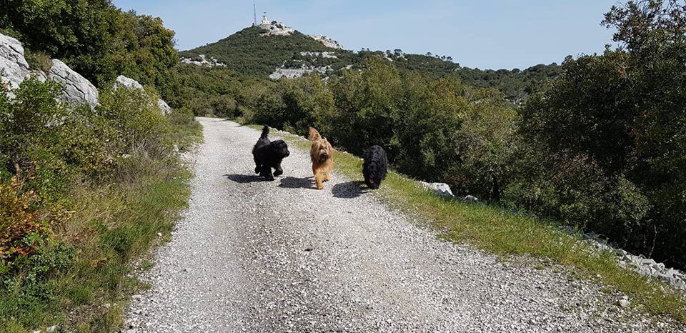 du Val de Méouge - Avec Noushka , Oïde et Ounénet au Fort du bau pointu !
