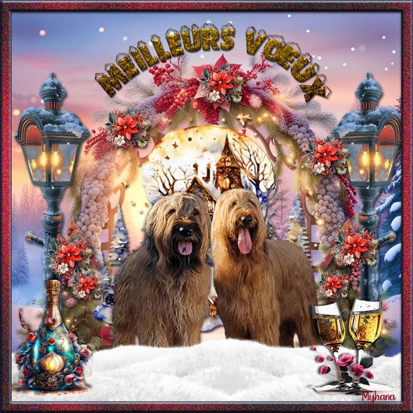 du Val de Méouge - Bonnes fêtes de fin d'année à vous tous!