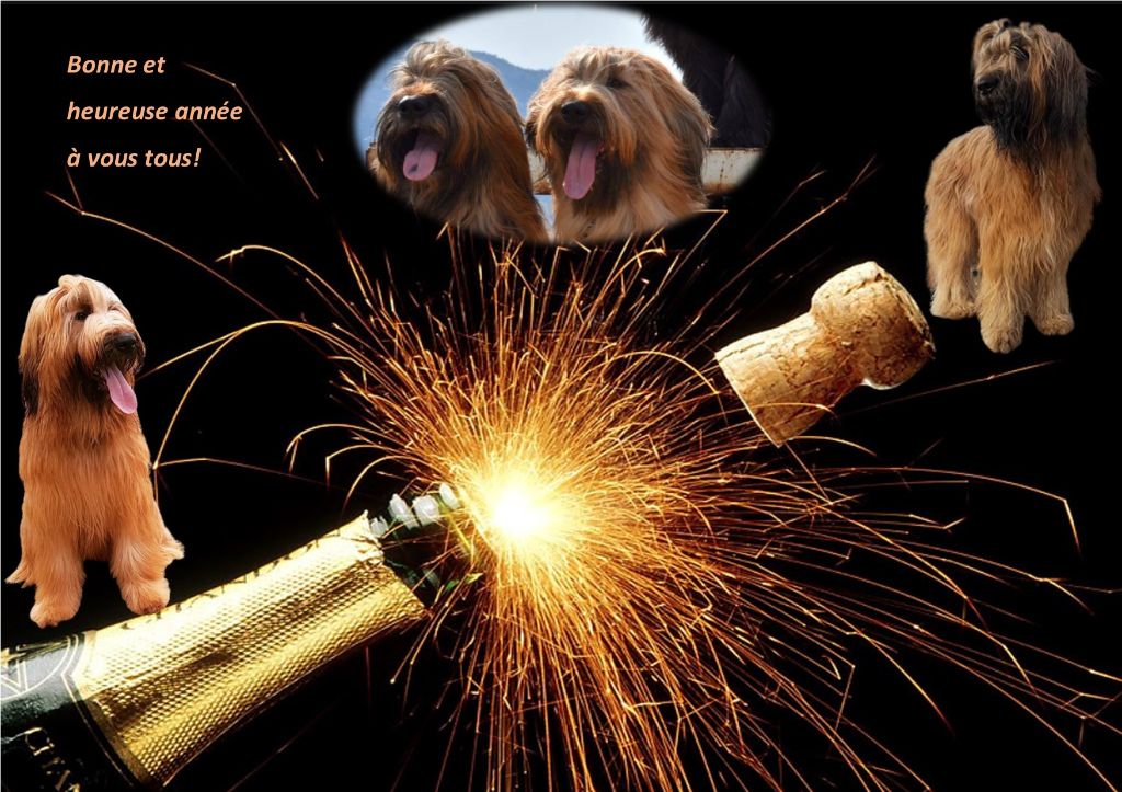 du Val de Méouge - Bonne et heureuse année 2022 à vous tous!