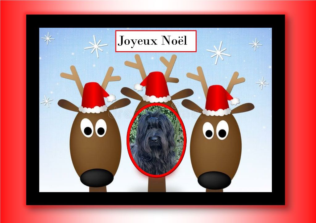 du Val de Méouge - Un joyeux Noël de la part d'Oïde