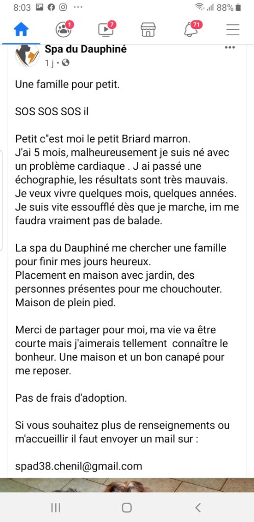du Val de Méouge - petit briard SPA du Dauphiné a été adopté