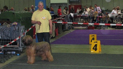 du Val de Méouge - Europa du Val de Méouge 3ème exc DOG SHOW LUXEMBOURG 1er avril 2012