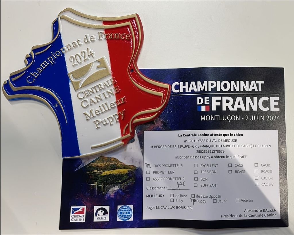 du Val de Méouge - Ulysse du VDM au championnat de France juin 2024
