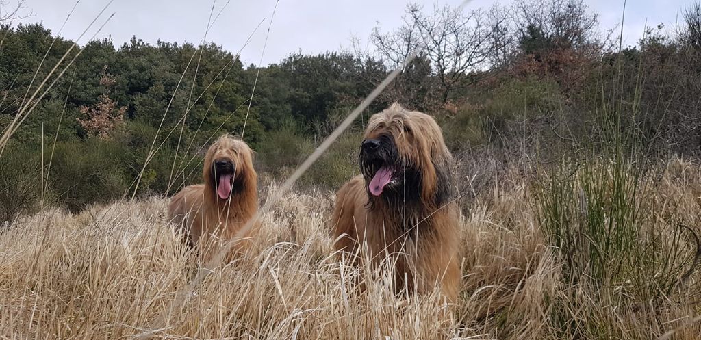 du Val de Méouge - Ounénet et sa fille O'Louise d'or en balade ce 6mars 2021