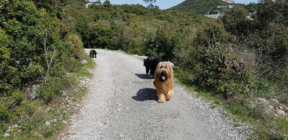 du Val de Méouge - Noushka , Oïde et Ounénet au Fort du bau pointu 18/04/2018 !