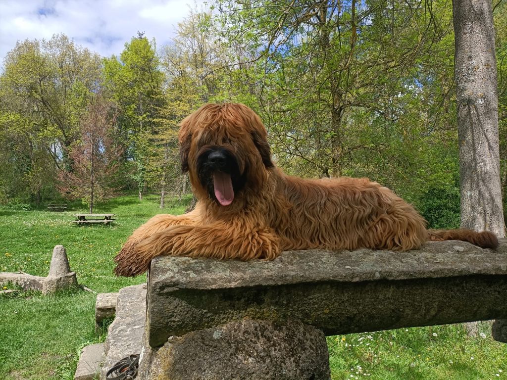 du Val de Méouge - Utch du Val de Méouge 7 mois le 30 avril 2024