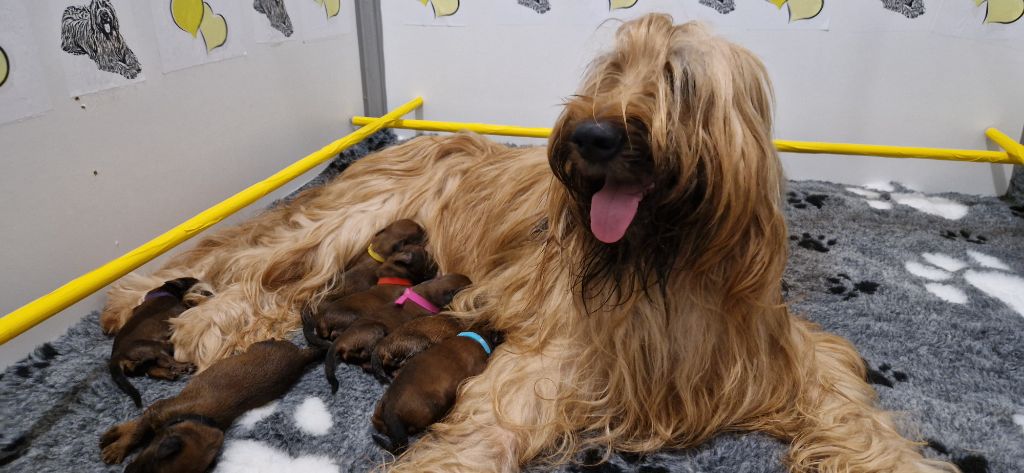 du Val de Méouge - 5 octobre 2023, les bébés ont 5 jours!