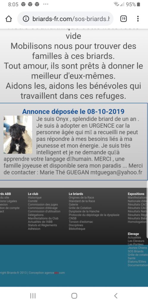 du Val de Méouge - Onyx a trouvé sa nouvelle famille