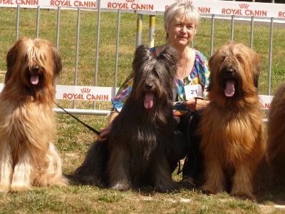 du Val de Méouge - Ewa, CAC et Meilleure de Race Fauve à la Spéciale de Mende 12 /08/12