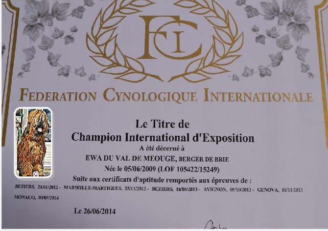 du Val de Méouge - Ewa championne internationale d'exposition