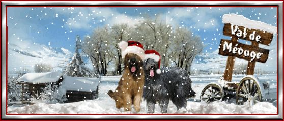 du Val de Méouge - Joyeux Noël à tous !