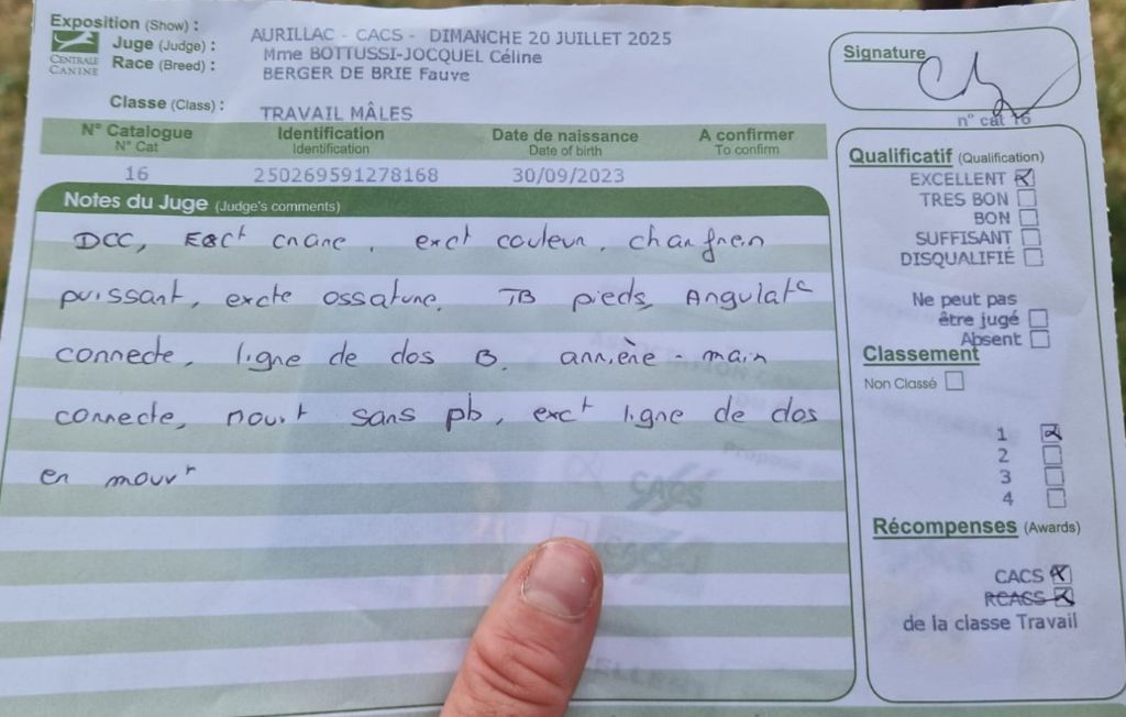 U'Up du VDM  dit Gaston CACS en CT Aurillac 20/07/2025