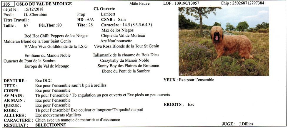 du Val de Méouge - Oslo du val de Méouge,sélectionné côté 4 à la NE 2022