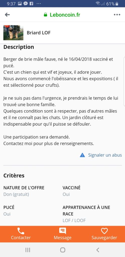 du Val de Méouge - Male fauve 1 an a trouvé sa famille
