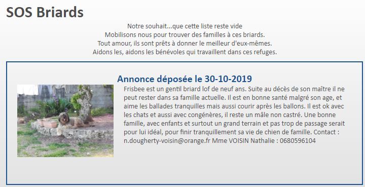 du Val de Méouge - SOS Frisbee à replacer suite au décès de son maître