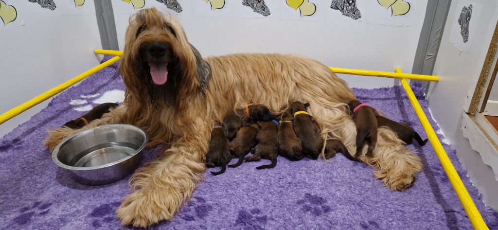 du Val de Méouge - Nos bébés ont déjà une semaine ce 7 octobre 2023
