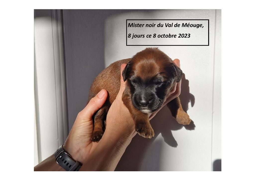 du Val de Méouge - 8 jours ce 8 octobre 2023