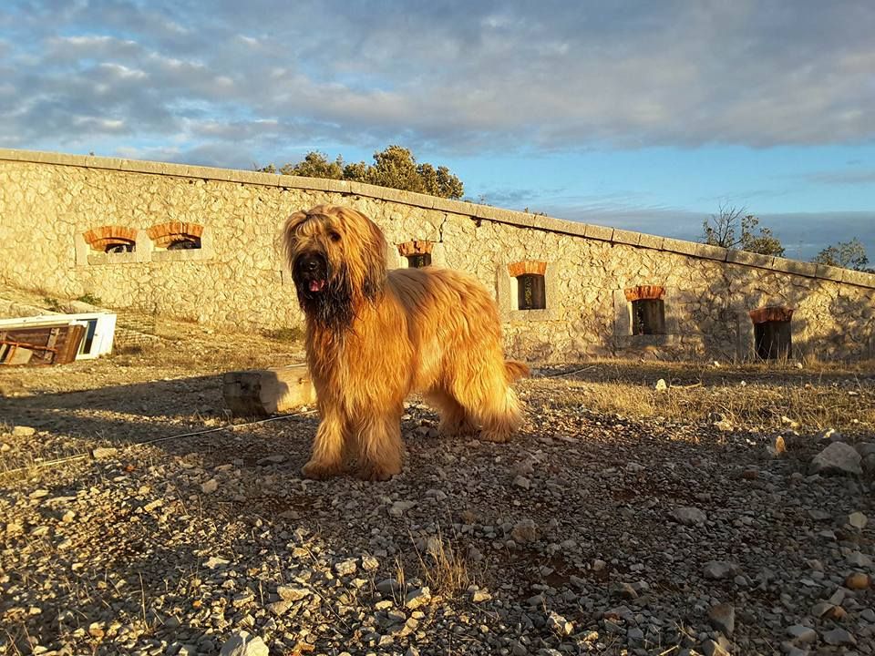 du Val de Méouge - 12 janvier 2018 Ounénet photographiée par Liana