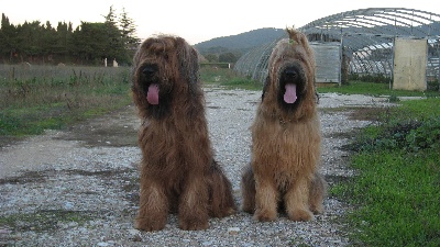 du Val de Méouge - Eragon et Ewa le 12 novembre 2011