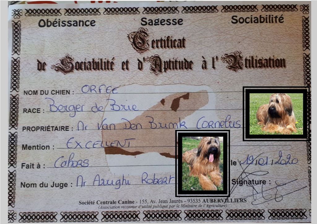 du Val de Méouge - Orfée du Val de Méouge 1ère à obtenir son CSAU mention excellent